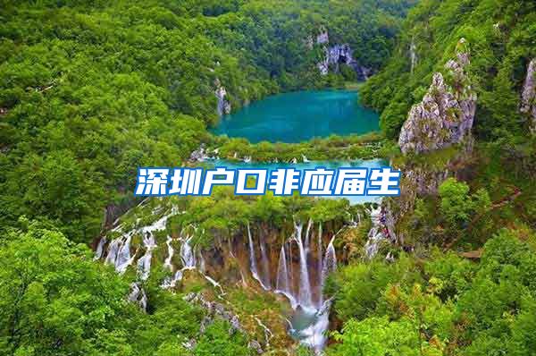 深圳户口非应届生