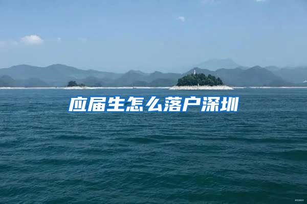 应届生怎么落户深圳