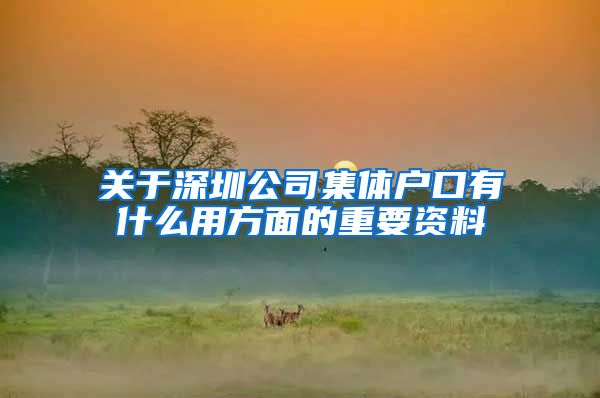 关于深圳公司集体户口有什么用方面的重要资料