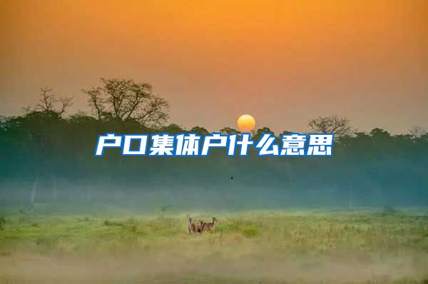 户口集体户什么意思