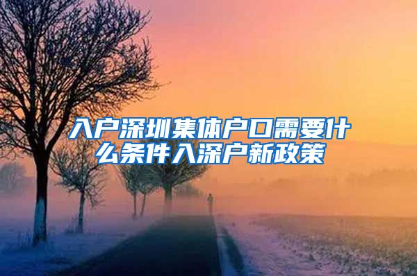 入户深圳集体户口需要什么条件入深户新政策