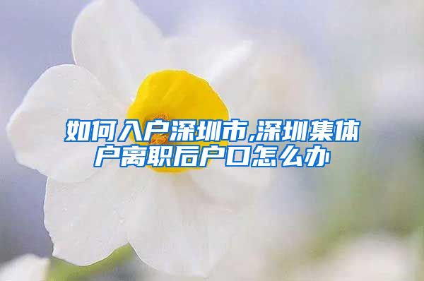 如何入户深圳市,深圳集体户离职后户口怎么办