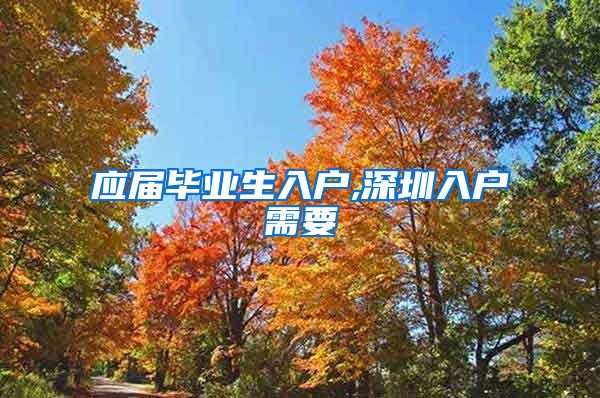 应届毕业生入户,深圳入户需要