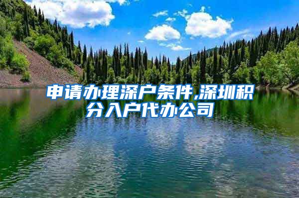 申请办理深户条件,深圳积分入户代办公司
