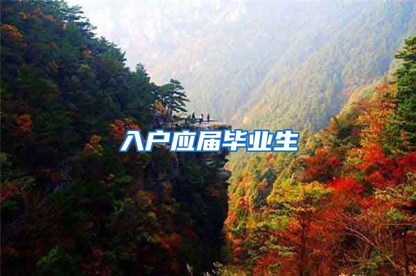 入户应届毕业生