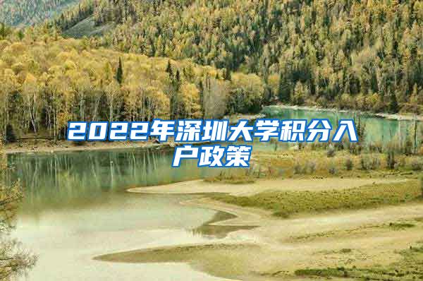 2022年深圳大学积分入户政策