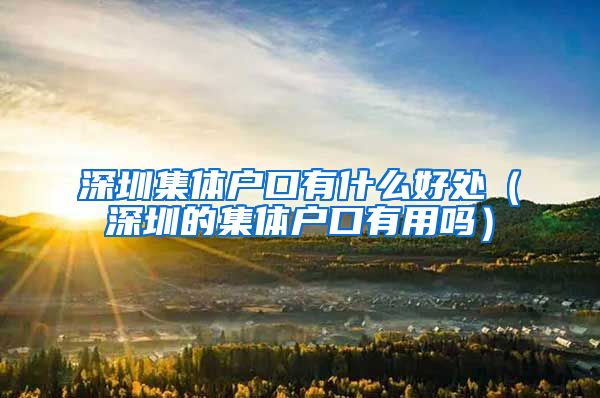 深圳集体户口有什么好处（深圳的集体户口有用吗）