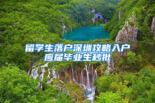 留学生落户深圳攻略入户应届毕业生秒批