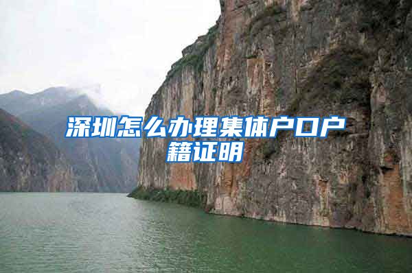 深圳怎么办理集体户口户籍证明