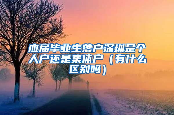 应届毕业生落户深圳是个人户还是集体户（有什么区别吗）