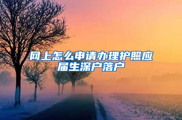 网上怎么申请办理护照应届生深户落户
