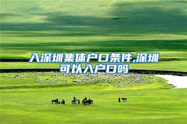 入深圳集体户口条件,深圳可以入户口吗