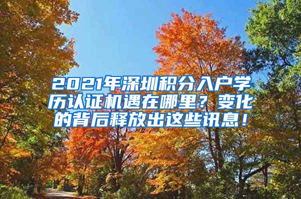 2021年深圳积分入户学历认证机遇在哪里？变化的背后释放出这些讯息！