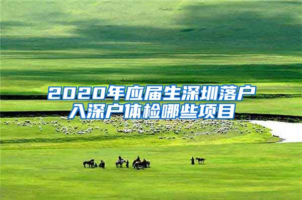 2020年应届生深圳落户入深户体检哪些项目