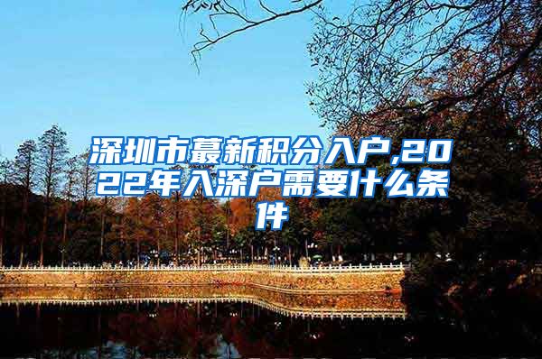 深圳市蕞新积分入户,2022年入深户需要什么条件