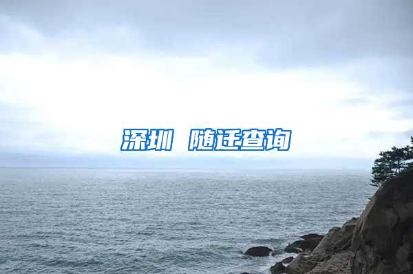 深圳 随迁查询