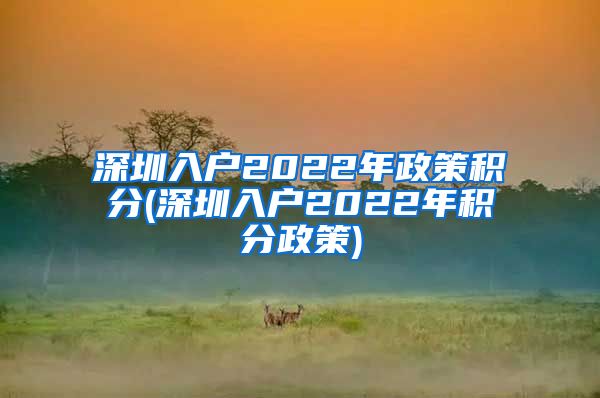 深圳入户2022年政策积分(深圳入户2022年积分政策)
