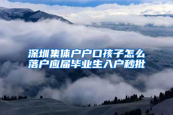 深圳集体户户口孩子怎么落户应届毕业生入户秒批