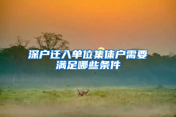 深户迁入单位集体户需要满足哪些条件