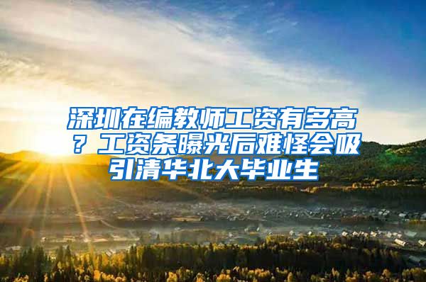 深圳在编教师工资有多高？工资条曝光后难怪会吸引清华北大毕业生