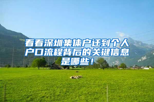 看看深圳集体户迁到个人户口流程背后的关键信息是哪些！