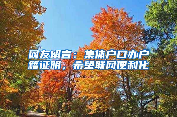 网友留言：集体户口办户籍证明，希望联网便利化