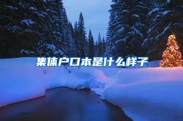 集体户口本是什么样子