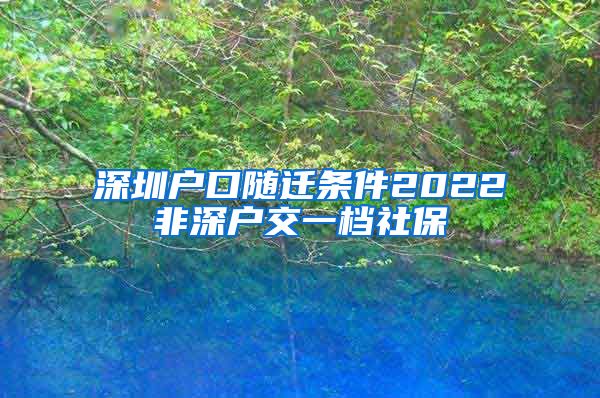 深圳户口随迁条件2022非深户交一档社保