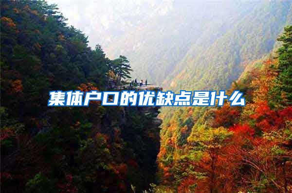 集体户口的优缺点是什么