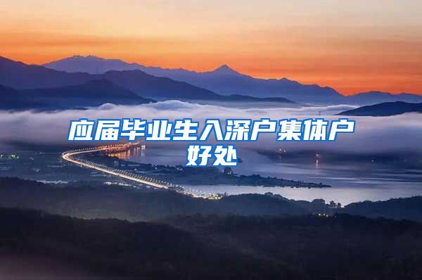 应届毕业生入深户集体户好处