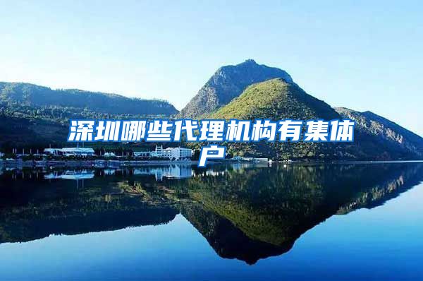 深圳哪些代理机构有集体户