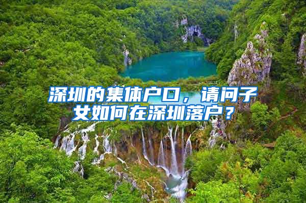 深圳的集体户口，请问子女如何在深圳落户？