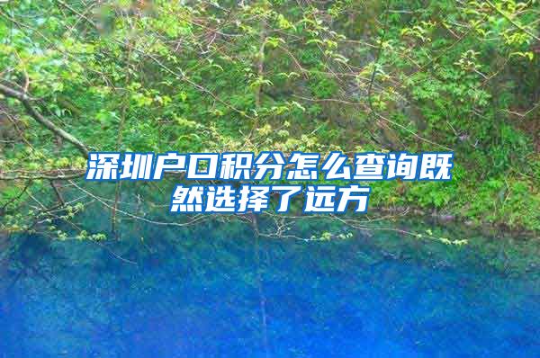 深圳户口积分怎么查询既然选择了远方