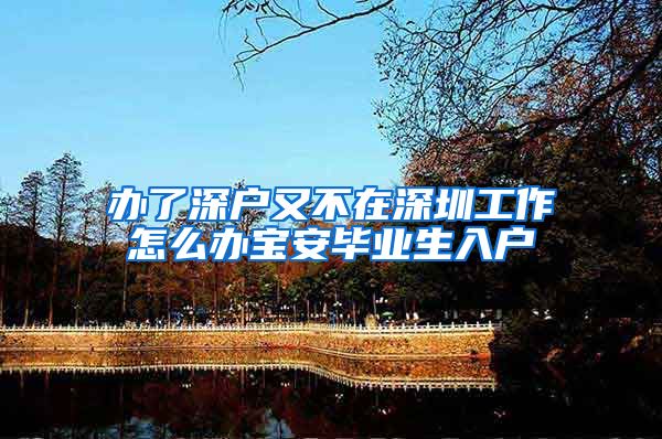 办了深户又不在深圳工作怎么办宝安毕业生入户