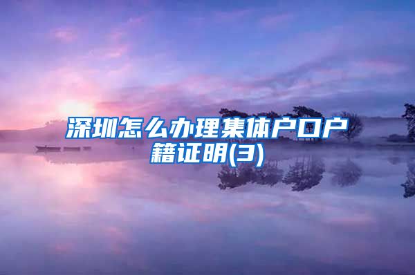 深圳怎么办理集体户口户籍证明(3)