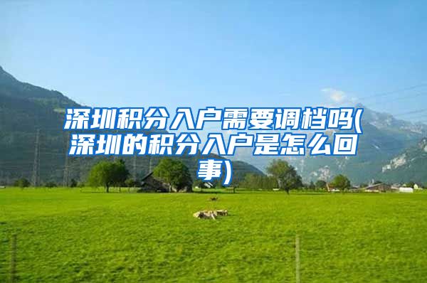 深圳积分入户需要调档吗(深圳的积分入户是怎么回事)