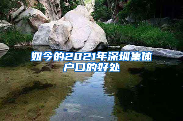 如今的2021年深圳集体户口的好处