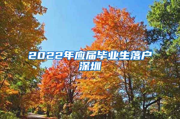 2022年应届毕业生落户深圳