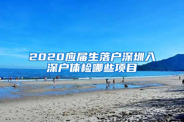 2020应届生落户深圳入深户体检哪些项目
