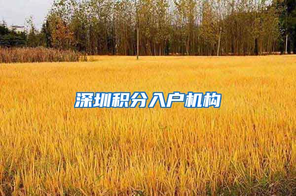 深圳积分入户机构