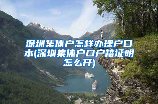 深圳集体户怎样办理户口本(深圳集体户口户籍证明怎么开)
