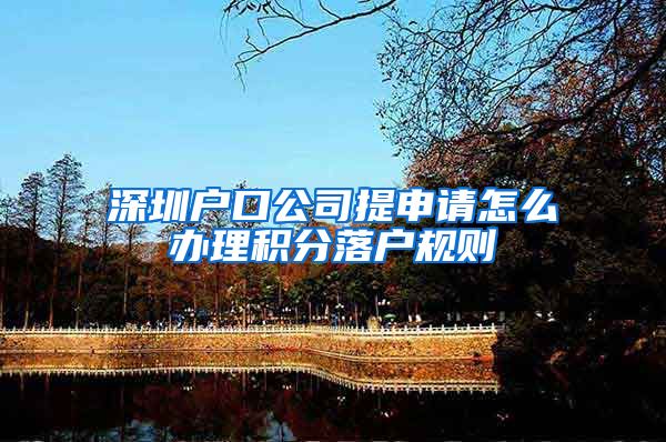 深圳户口公司提申请怎么办理积分落户规则