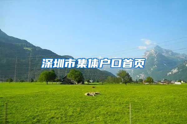 深圳市集体户口首页