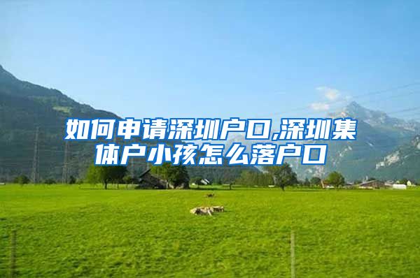 如何申请深圳户口,深圳集体户小孩怎么落户口