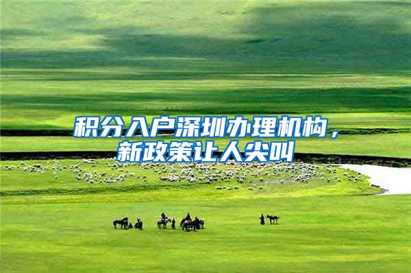 积分入户深圳办理机构，新政策让人尖叫