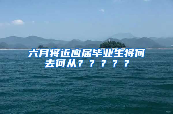六月将近应届毕业生将何去何从？？？？？