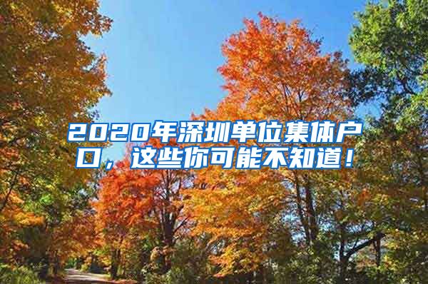 2020年深圳单位集体户口，这些你可能不知道！
