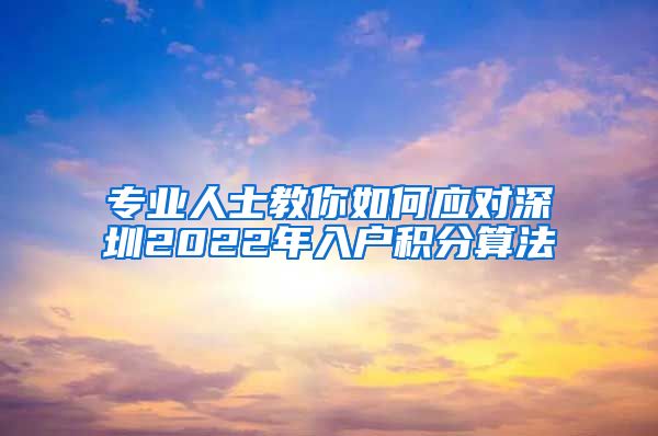 专业人士教你如何应对深圳2022年入户积分算法