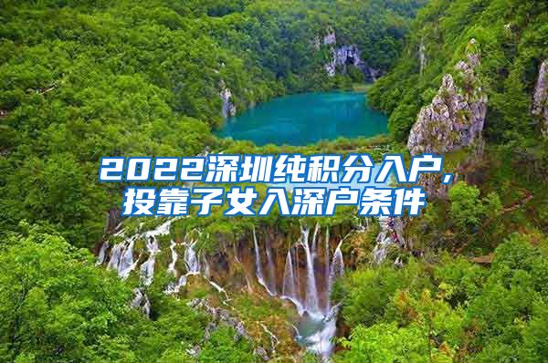 2022深圳纯积分入户,投靠子女入深户条件