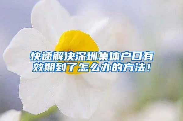 快速解决深圳集体户口有效期到了怎么办的方法！